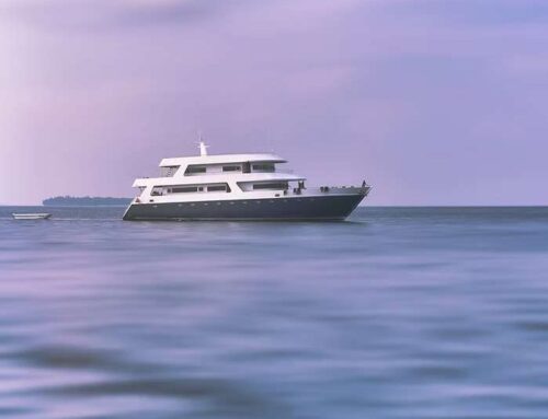 Koper van een nieuwe polyester boot mocht geen osmose verwachten na slechts twee vaarseizoenen